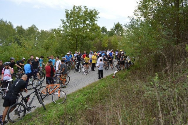 Miholje 2012